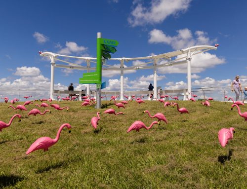 Protected: Celebrating One Year of the Boca Raton Airport Observation Area