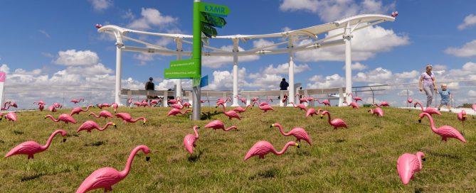 Flamingos in a park